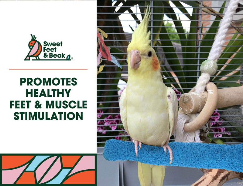 Sweet Feet and Beak Comfort Grip Safety Perch for Bird Cages - Pedicure Perch for Birds to Keep Nails and Beaks in Top Condition - Safe Easy to Install Bird Cage Accessories - M 8.5" - Image 3